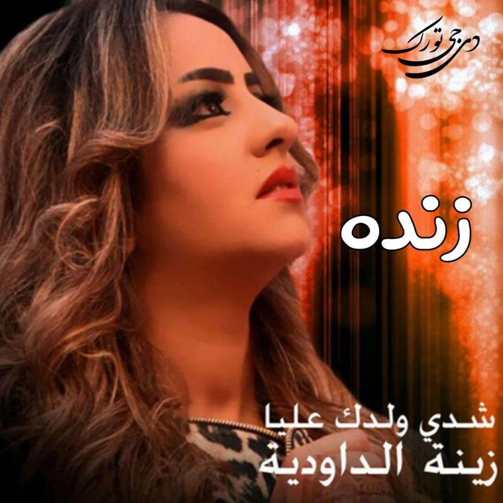 music_cover Chedi Weldek Aliya from Zina Daoudia شدي ولدك عليا از زینت الداودیه