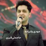 مهدی ولیزاده حاجملی‌قیزی