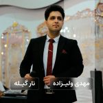مهدی ولیزاده نار گیله
