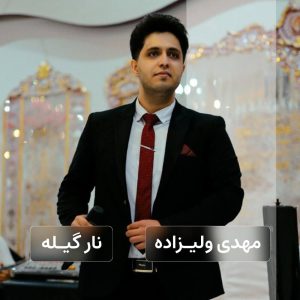 مهدی ولیزاده نار گیله