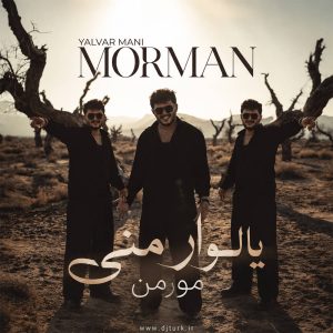 تصویر کاور برای یالوار منی